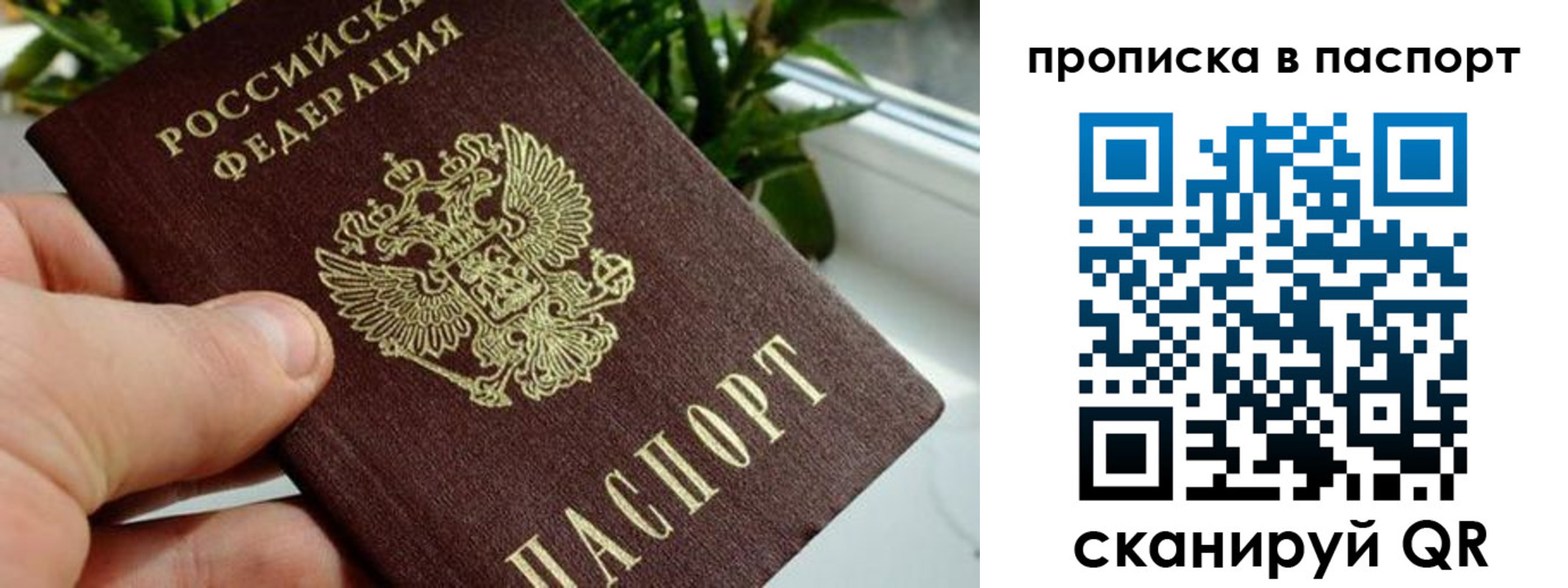 пропишу в квартире в Добрянке